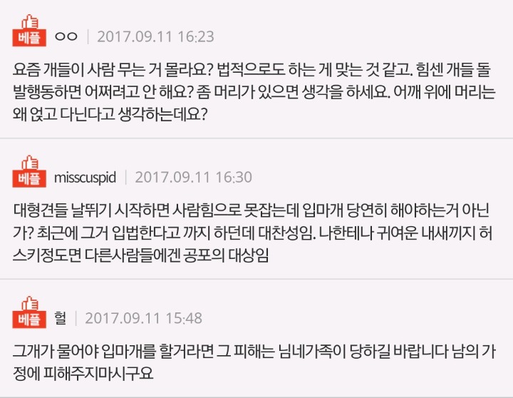 대형견 입마개까지 꼭 해야하나요? 입마개안했다고 싸웠네요 | 인스티즈