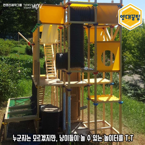 교내 길고양이들한테 밥 주지 말라는 학교 | 인스티즈