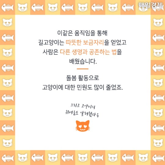 캠퍼스 고양이의 따뜻한 겨울나기 | 인스티즈