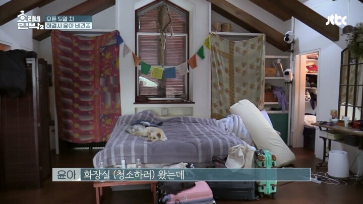 [효리네민박2] 만능일꾼 윤아의 변기 뚫기 .jpg | 인스티즈