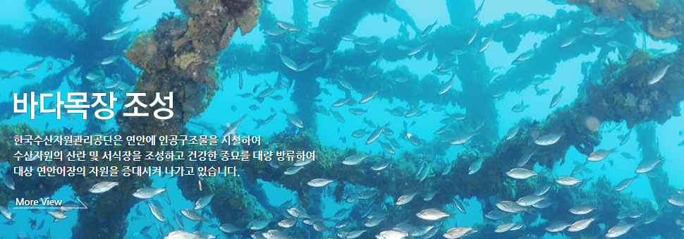 한국수산 이미지