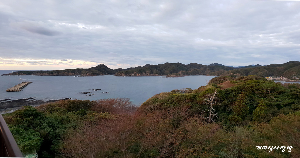 카미소 이미지