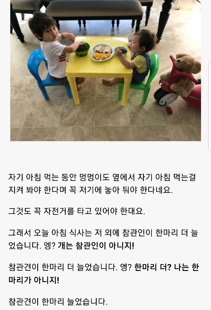 한국인 친구가 보고 놀란 미국 아기들의 유아식 | 인스티즈