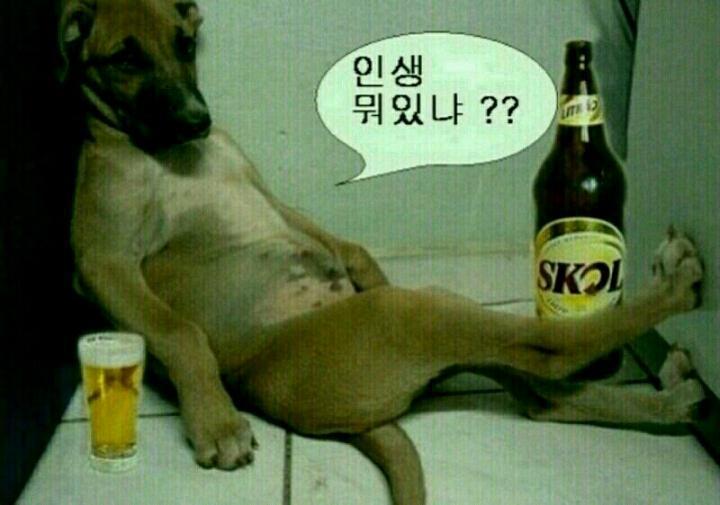 지금 이미지