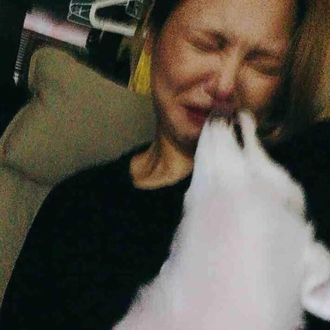 이 사진 강아지 피는 거예요?? | 인스티즈