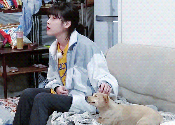 닝겐 손길이 기분좋은 동물들.gif | 인스티즈