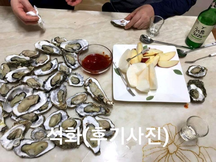 석화 이미지