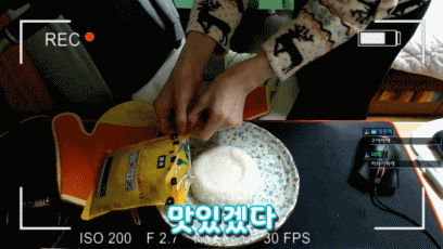 열도의 소닉카레.GIF | 인스티즈