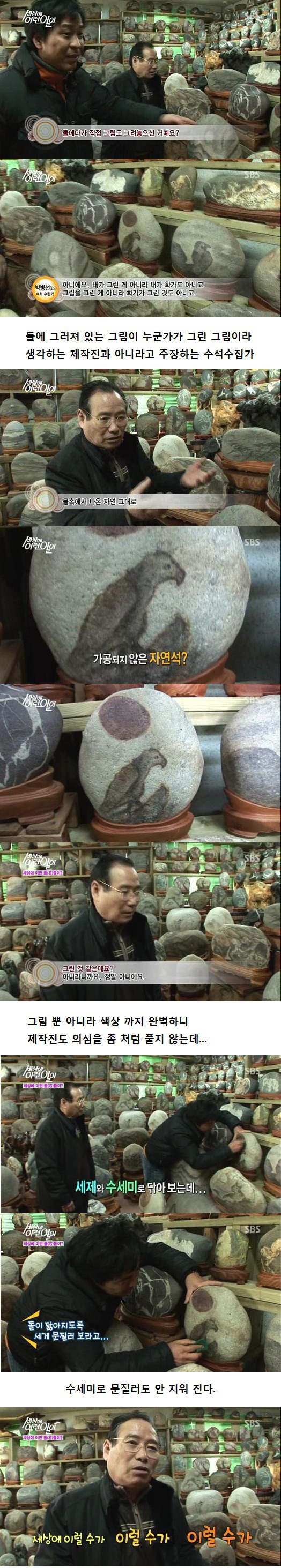 세상에 이런일이 레전드.jpg | 인스티즈