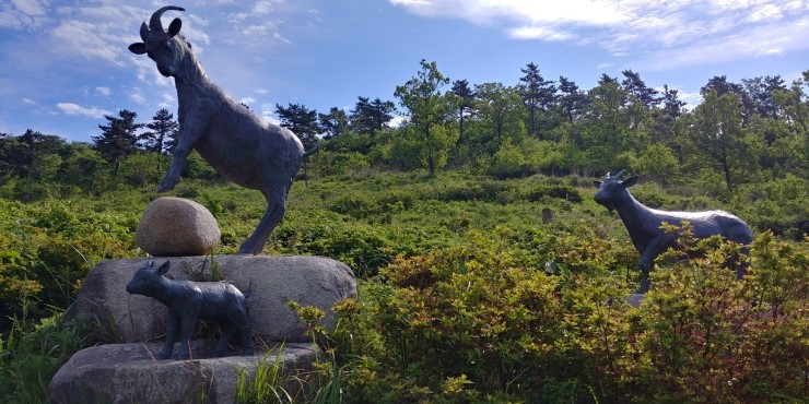 약산도 이미지