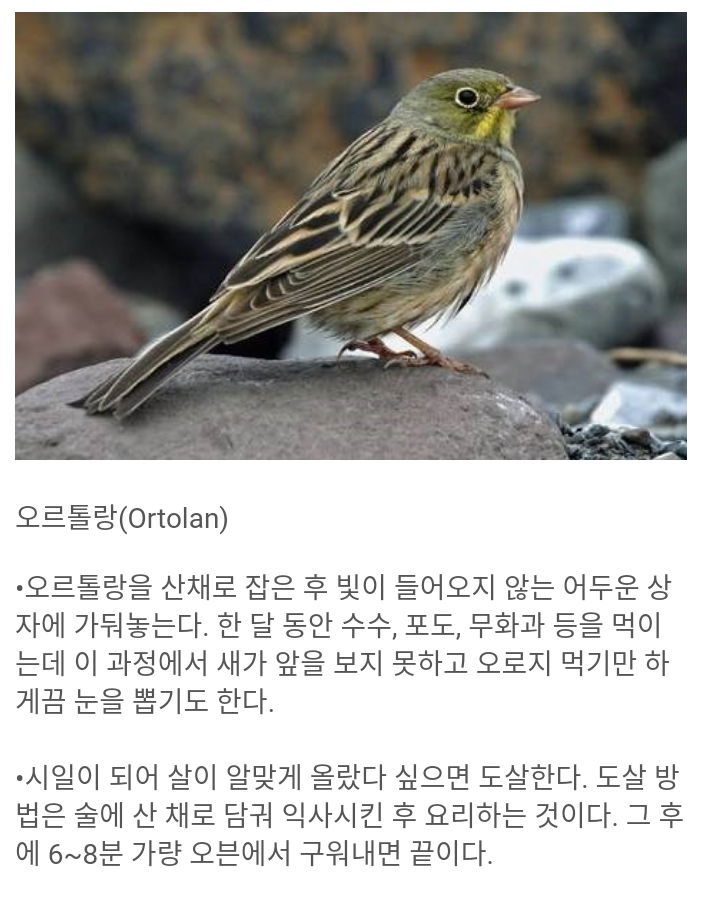 신도 모르게 먹어야 한다는 프랑스의 전통 요리 | 인스티즈