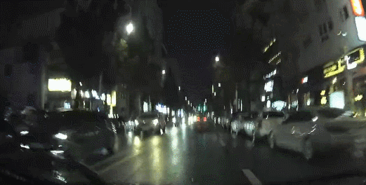 여러 동물들이 찻길을 건너는 방법.gif | 인스티즈