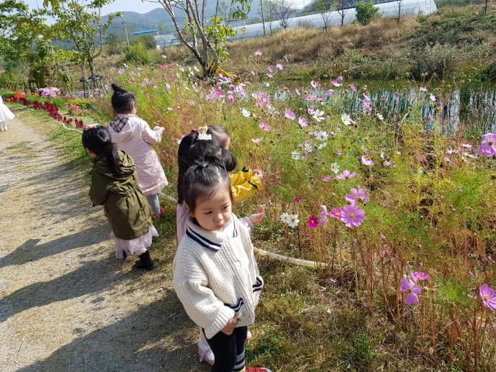 정희 이미지