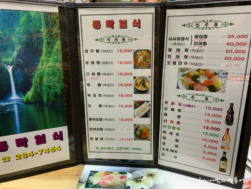 동락일식 이미지