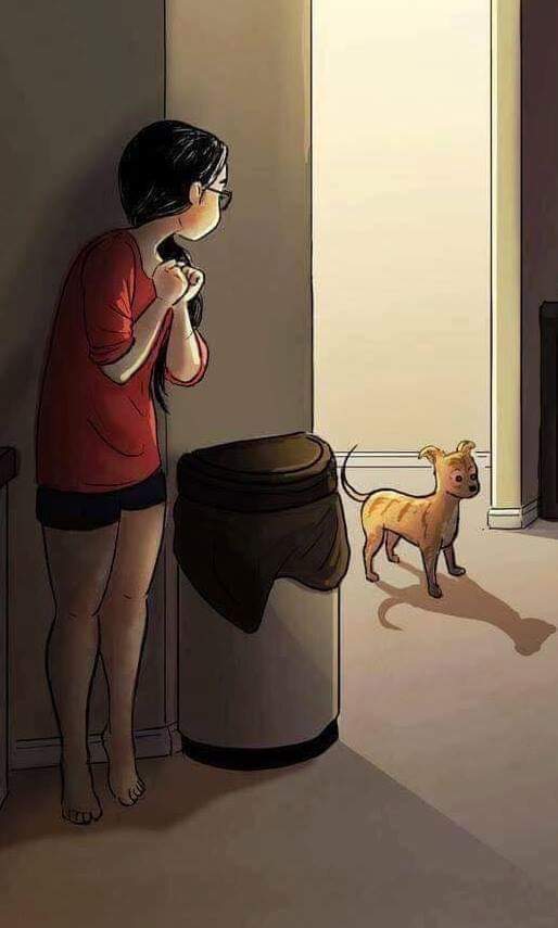 강아지 키우는 사람들은 꼭 해본 것 | 인스티즈