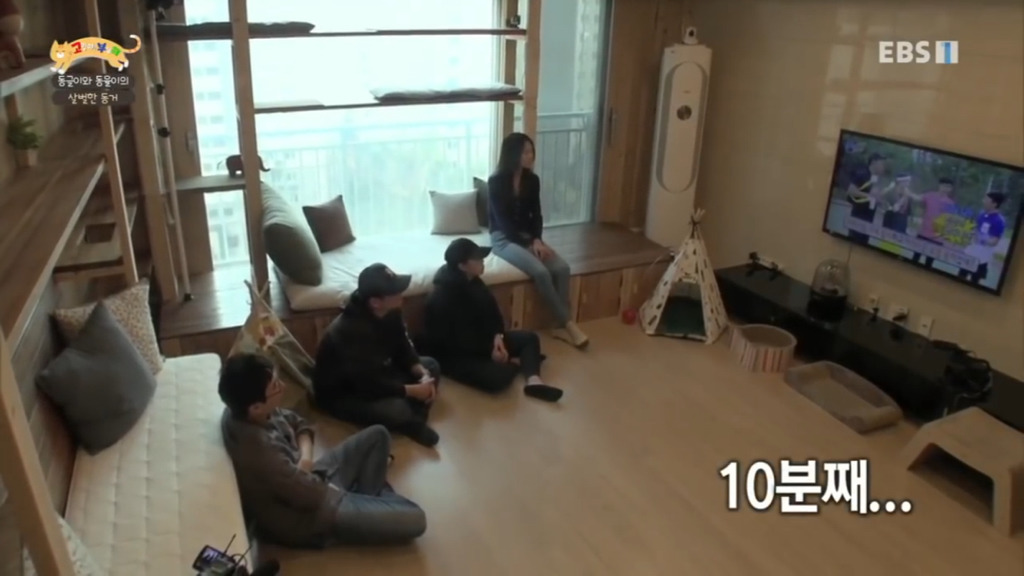 세상에 나쁜 개는 없다 vs 고양이를 부탁해 차이.jpg | 인스티즈
