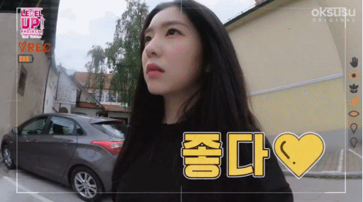 [레드벨벳] 레벨업 보면서 게임하다가 만든 움짤 | 인스티즈