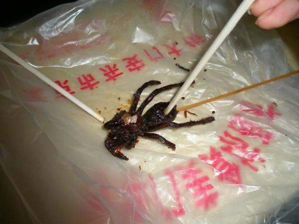 중국 벌레꼬치 리뷰! - 왕푸징거리 혐오음식 상세분석 (혐오주의) | 인스티즈