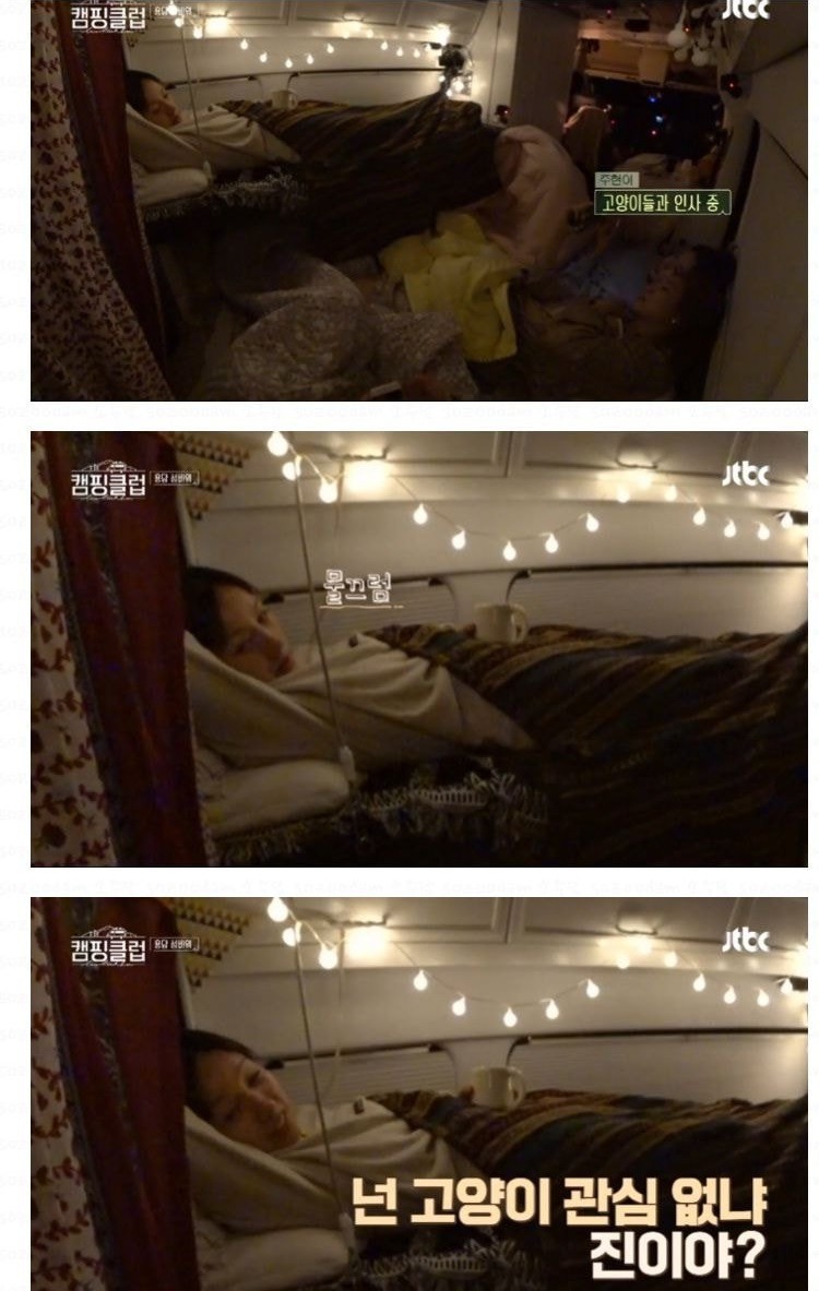 21년 만에 이효리 눈에 들어온 이진 | 인스티즈