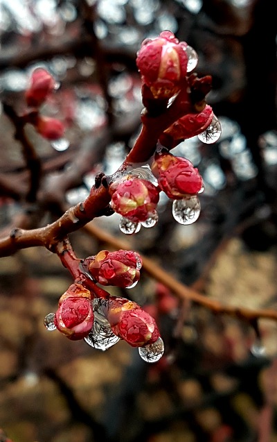 994A3E435C974B9A35CE2F