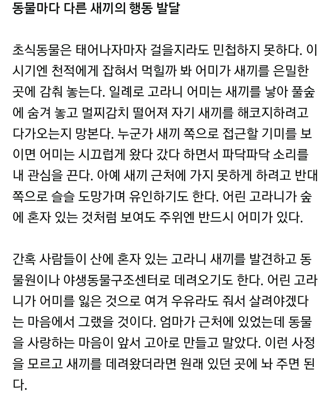 당신의 무지가 동물을 고아로 만든다 | 인스티즈