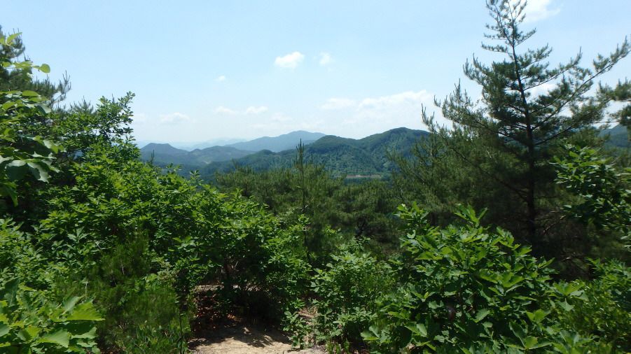 비산 정상 이미지