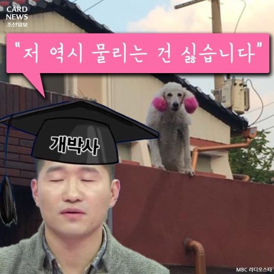 개통령 강형욱이 말하는 입마개 | 인스티즈