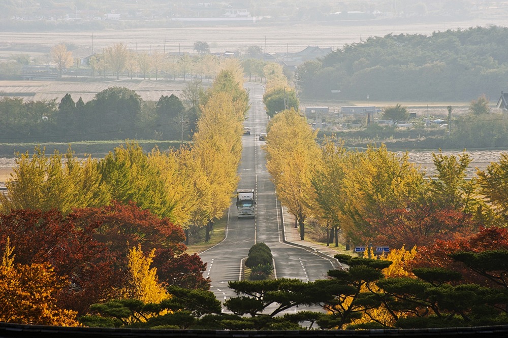 경주산책 이미지