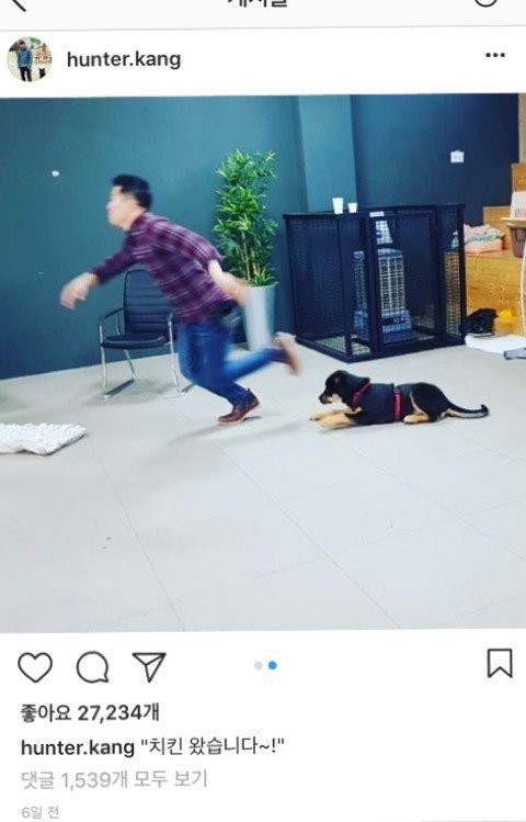 치킨왔다는 소리에 달려가는 강아지.jpg | 인스티즈
