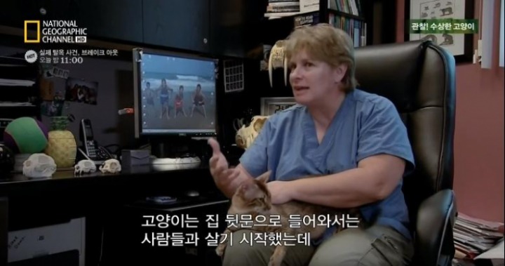 고양이가 사람과 살게 된 이유.jpg | 인스티즈