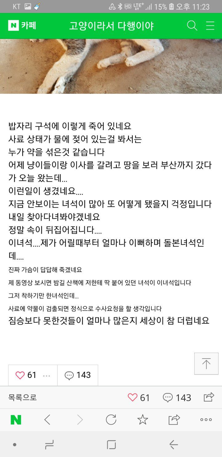 후원받은 사료를 먹은 고양이카페 고양이들이 죽었습니다 | 인스티즈