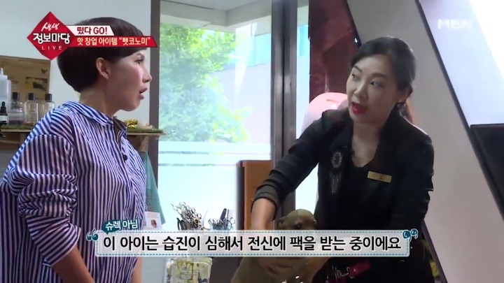 강아지 아로마테라피.jpg | 인스티즈