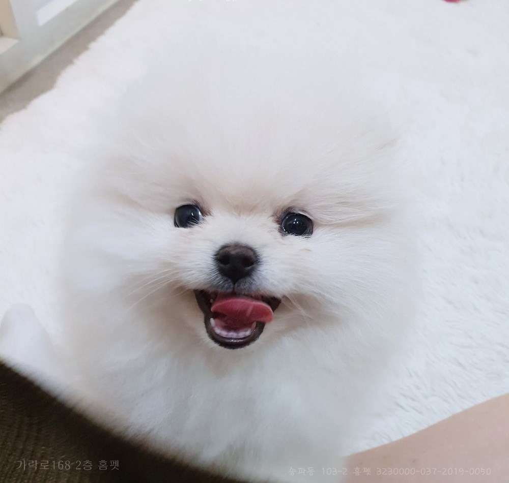 예쁘장이 이미지