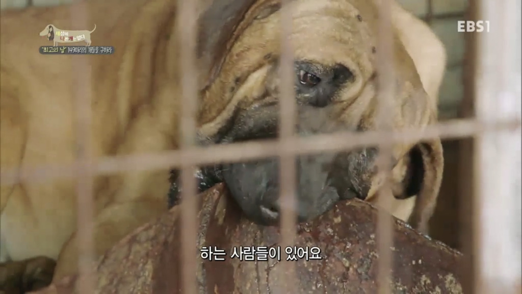 어떻게 사람을 그렇게 좋아할 수 있죠? | 인스티즈