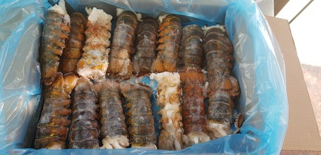 신명씨푸드 이미지