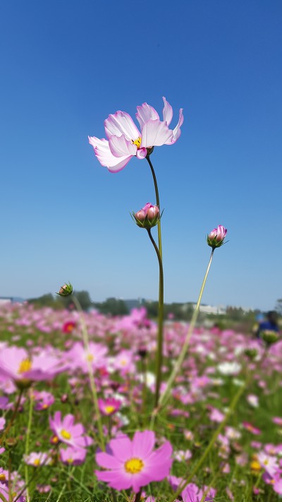 996DCD3E5BB470C81E279C