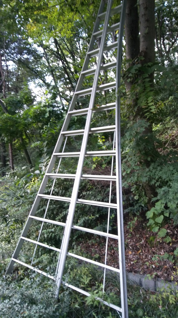 (주)희망조경 이미지
