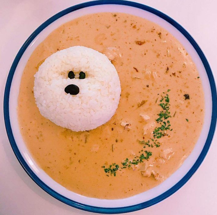 귀여움 터지는 카레(심쿵주의) | 인스티즈
