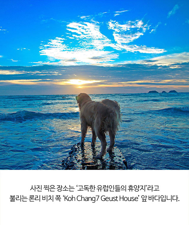 태국 코끼리섬 꼬창에서 느낀 매력적인 순간 | 인스티즈
