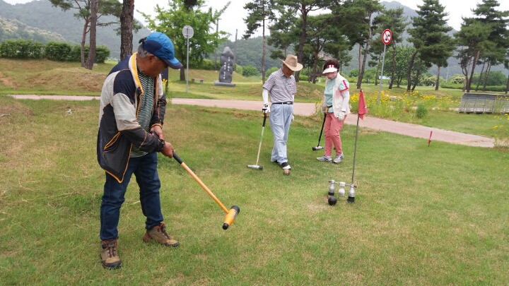 대한우드볼협회 이미지