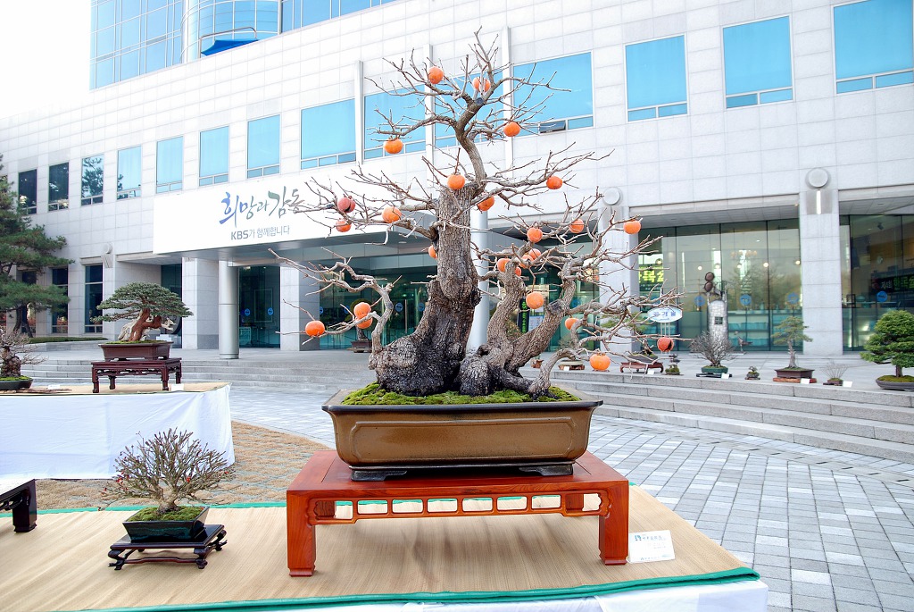 한목 이미지