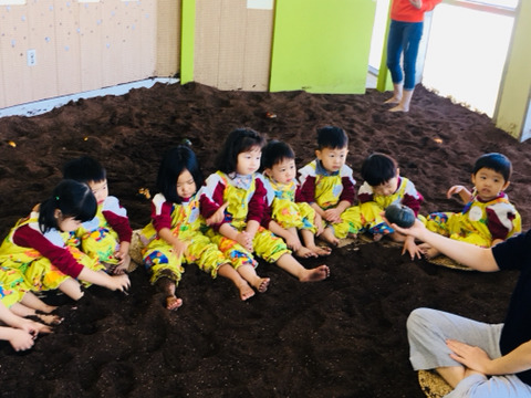 고마워토토 이미지