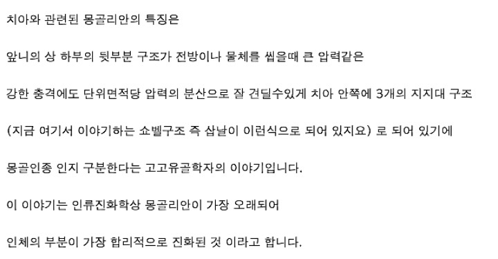 아시안(몽골로이드)에게서만 나타나는 치아 특징 | 인스티즈