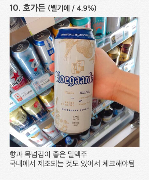 편의점 수입맥주 상품별 특징 분석.jpg | 인스티즈
