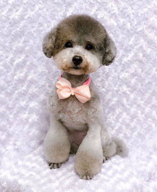 관리의 중요성.jpg | 인스티즈
