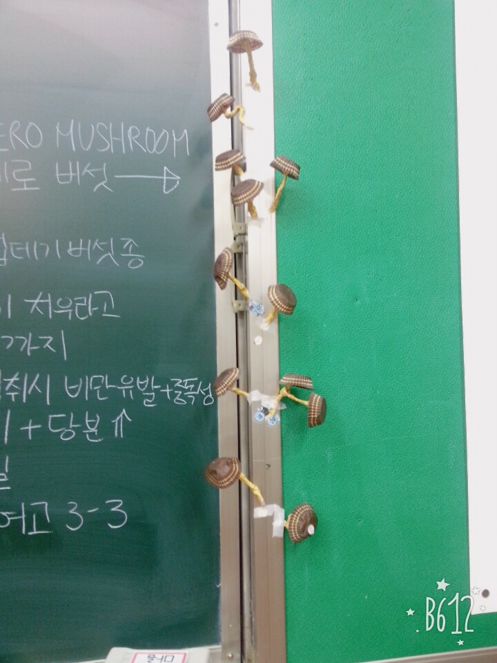 흔한 고3의 페레로 버섯 | 인스티즈