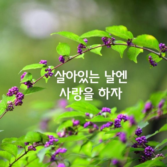 유성관광호텔 이미지