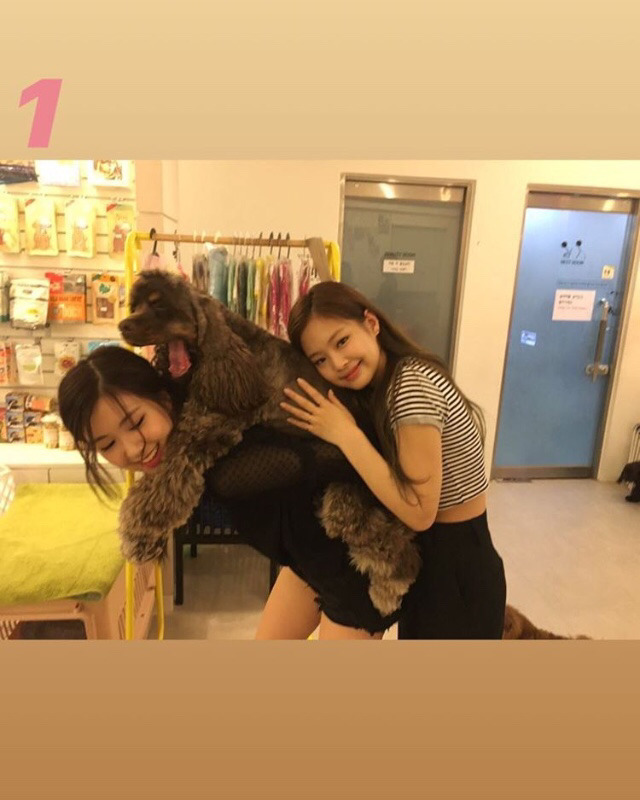 블랙핑크 짤털이.jpg | 인스티즈