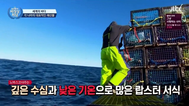 캐나다산 랍스터 싹쓸이 하는 중국 | 인스티즈