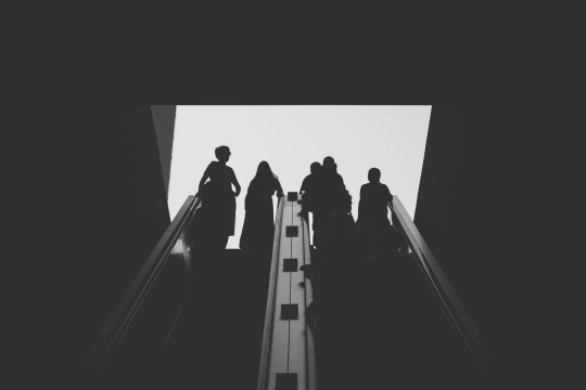  꽃들의 의미는 닿아 있다 | 인스티즈